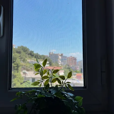 View Ob *